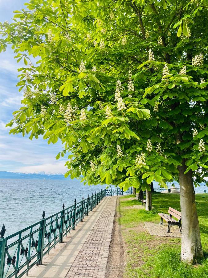 " Sunshine Am See " FDH المظهر الخارجي الصورة